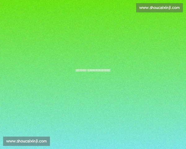 磨砺耕耘育新秀 湖北拳击后备人才建设纪实（上）